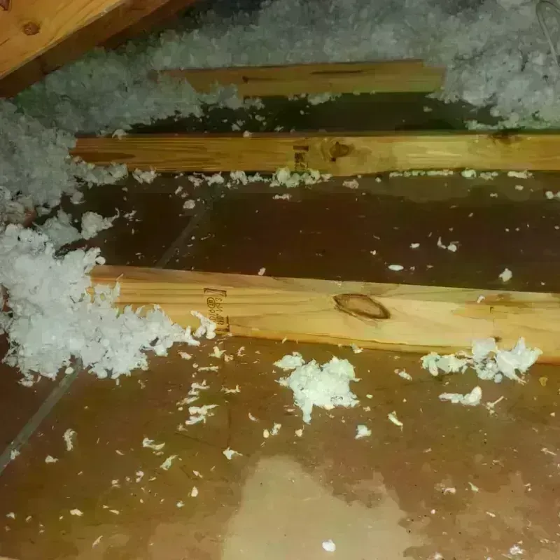 Attic Water Damage in Bellevue, WI