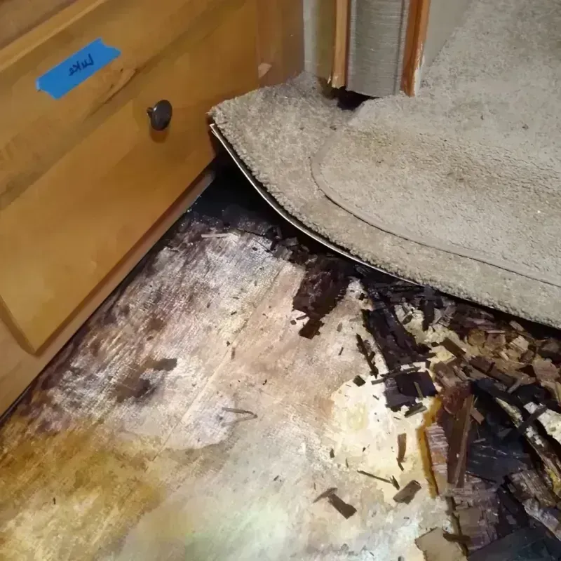 Wood Floor Water Damage in Bellevue, WI